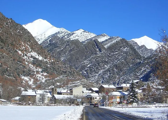 Montana Alins